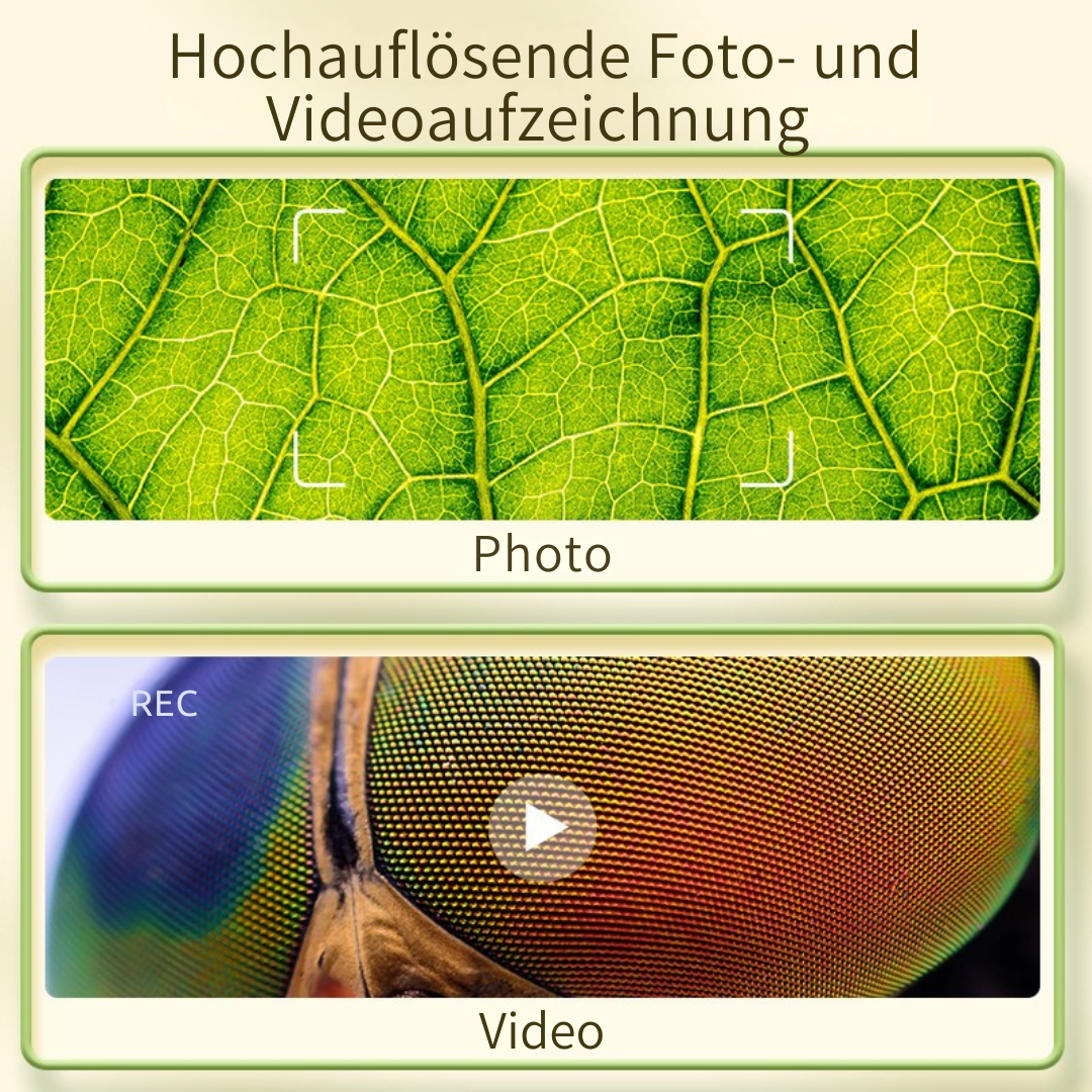 Luxplorer – Entdecke das Unsichtbare!